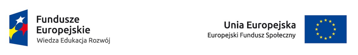 logo PO WER i UE.jpg